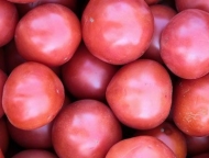 news_2018-10-22-pomidory.jpg